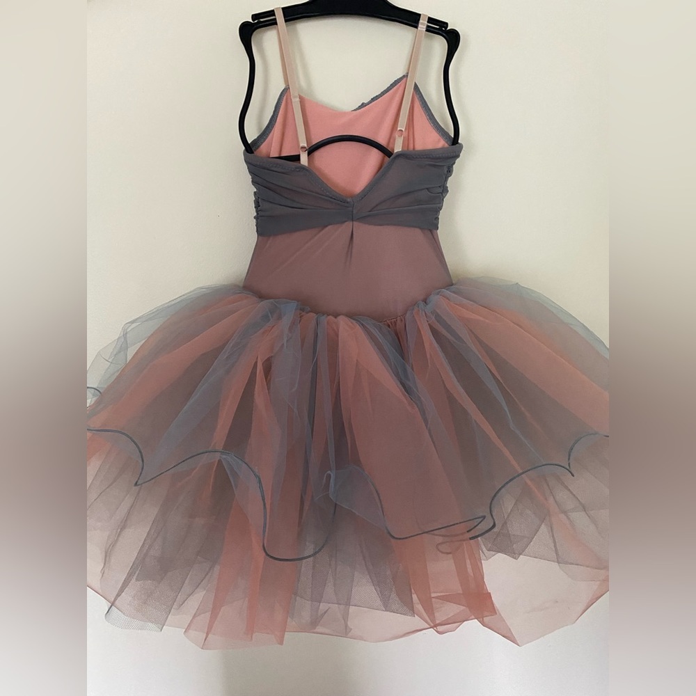 Curtain call pink and blue leotard with tutu
